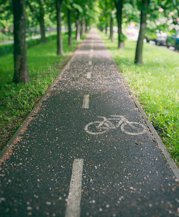 Ciclovía urbana con árboles y luz suave en la mañana